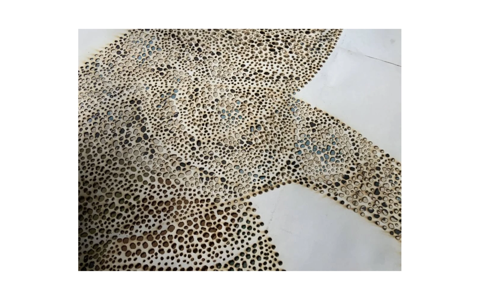 npaaw – zakumi 3